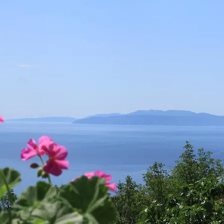 Appartement With Parking Space Opatija - Pobri, Opatija - 7813